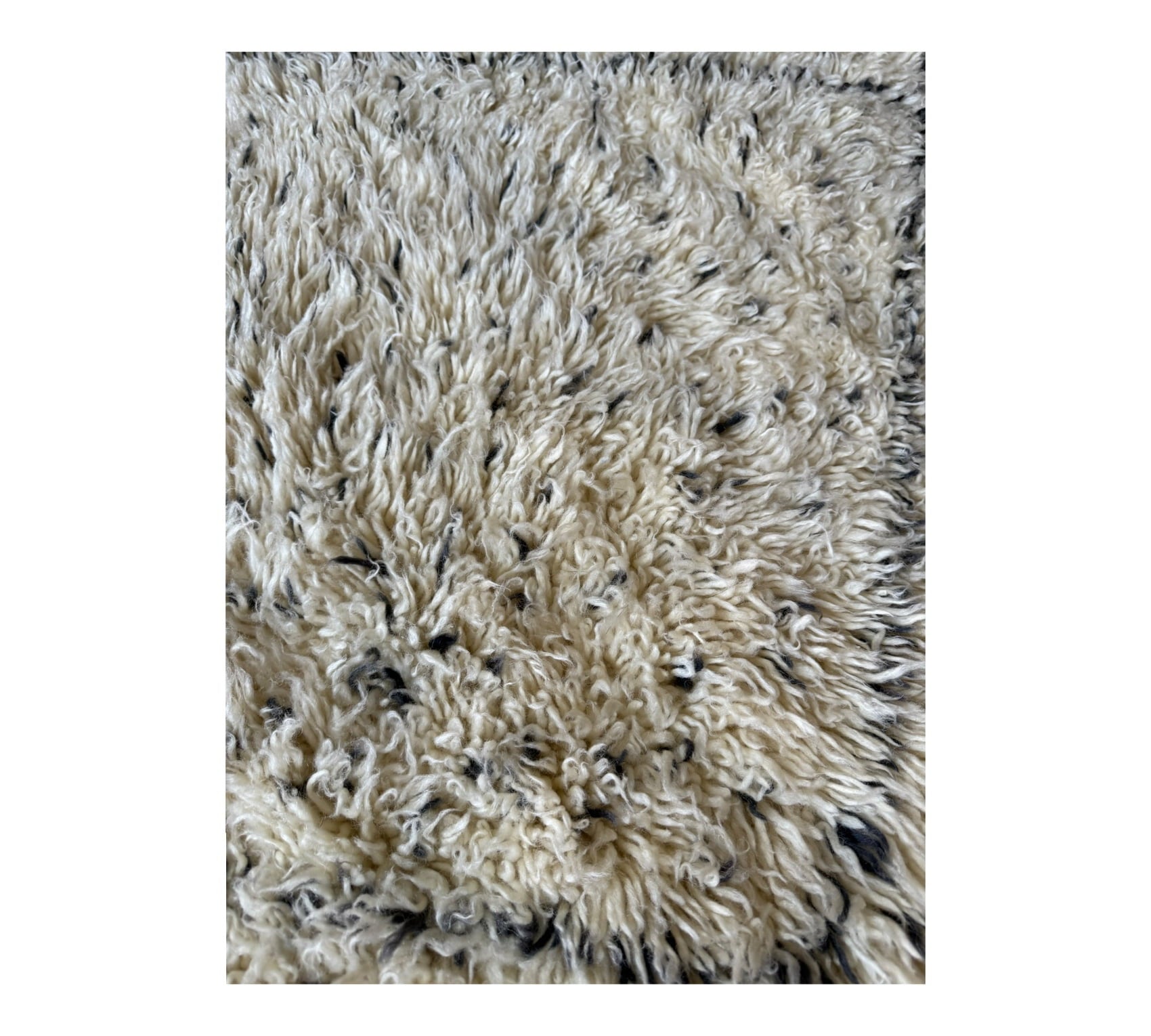 Polka dots beni ourain rug closeup  plush
