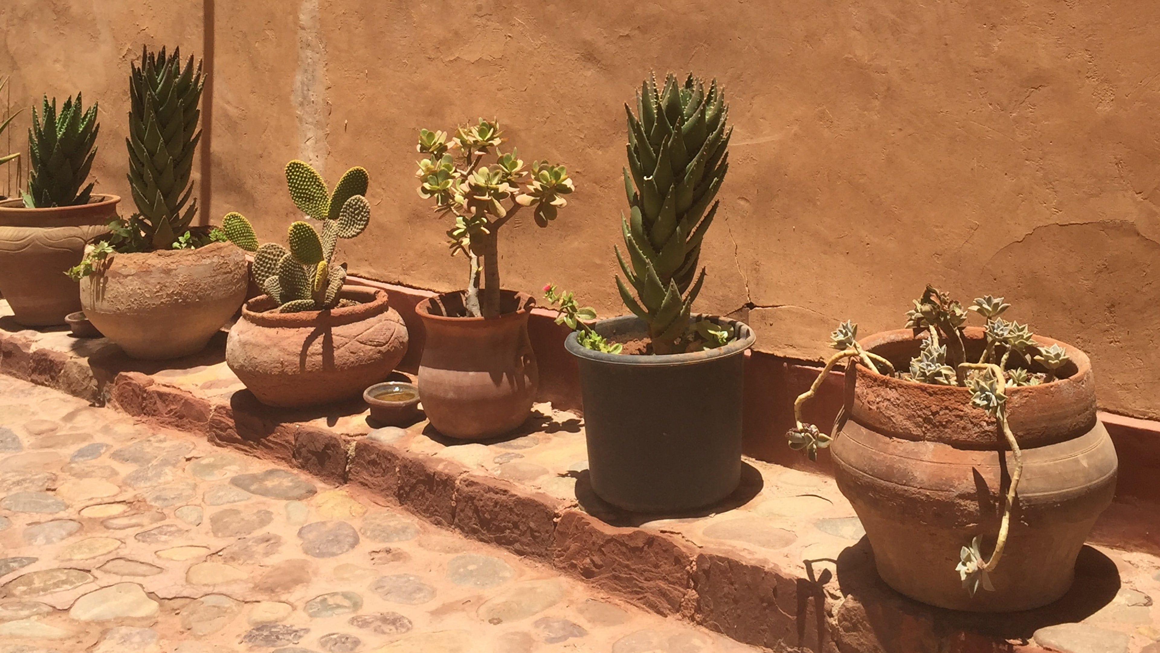 Morocco plant pots teracotta